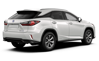 Lexus-RX-Business Plus-rear