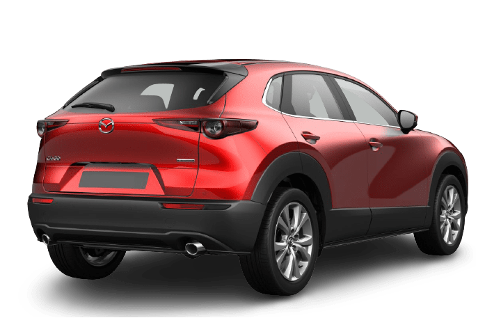 MAZDA-CX-30-2WD Evolution-rear