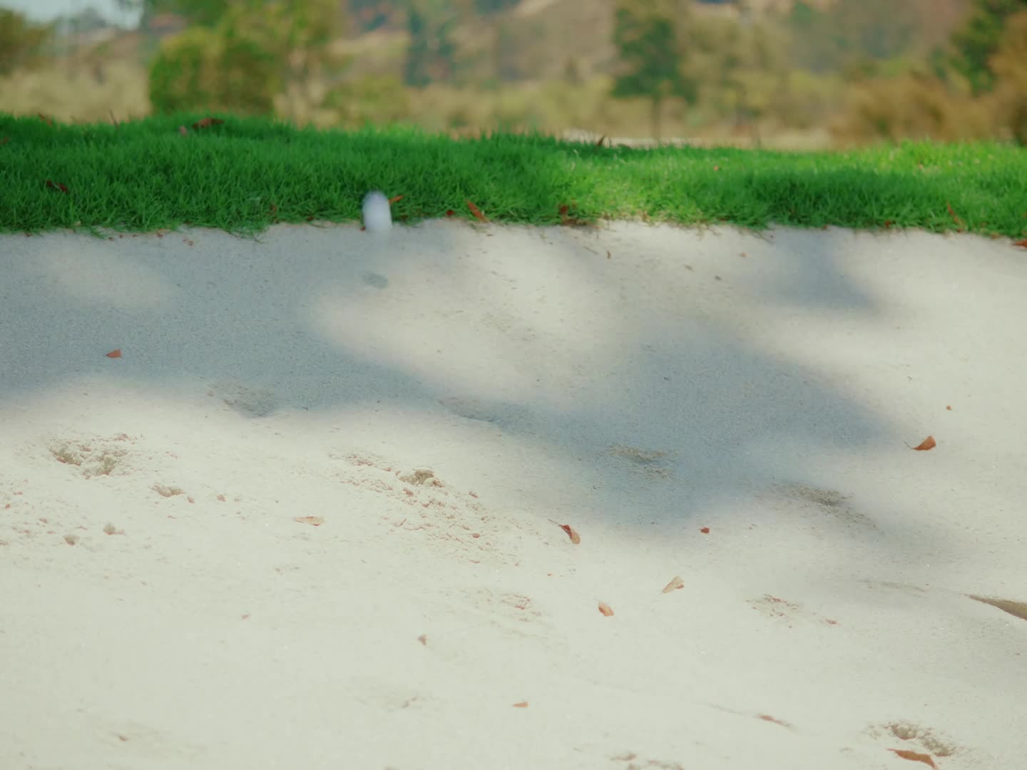 Golf Elliott still 3