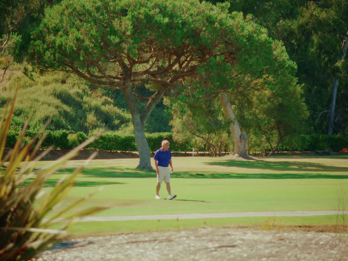 Golf Elliott still 4