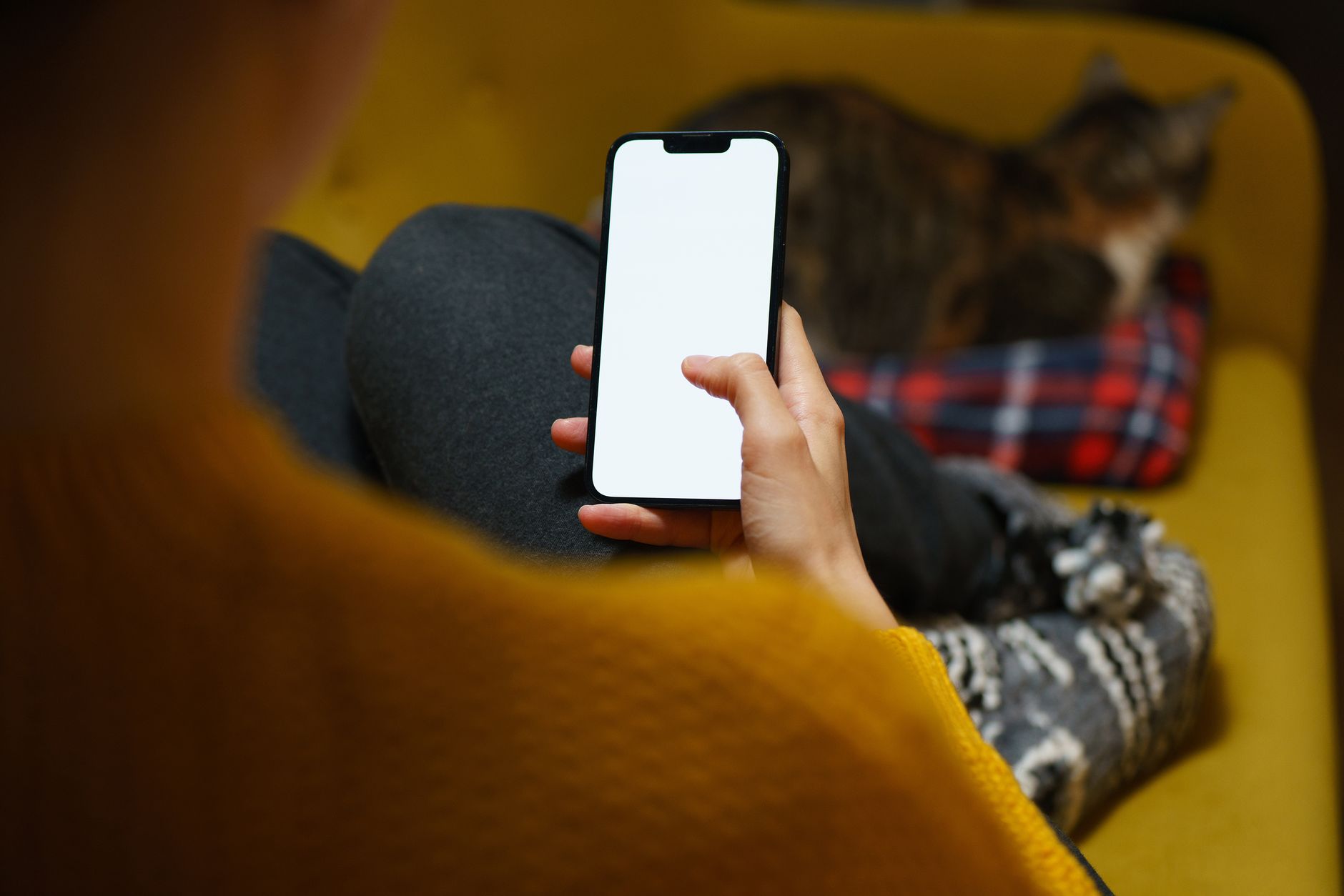 A person relaxes on a sofa while using a smartphone and petting a cat nearby.