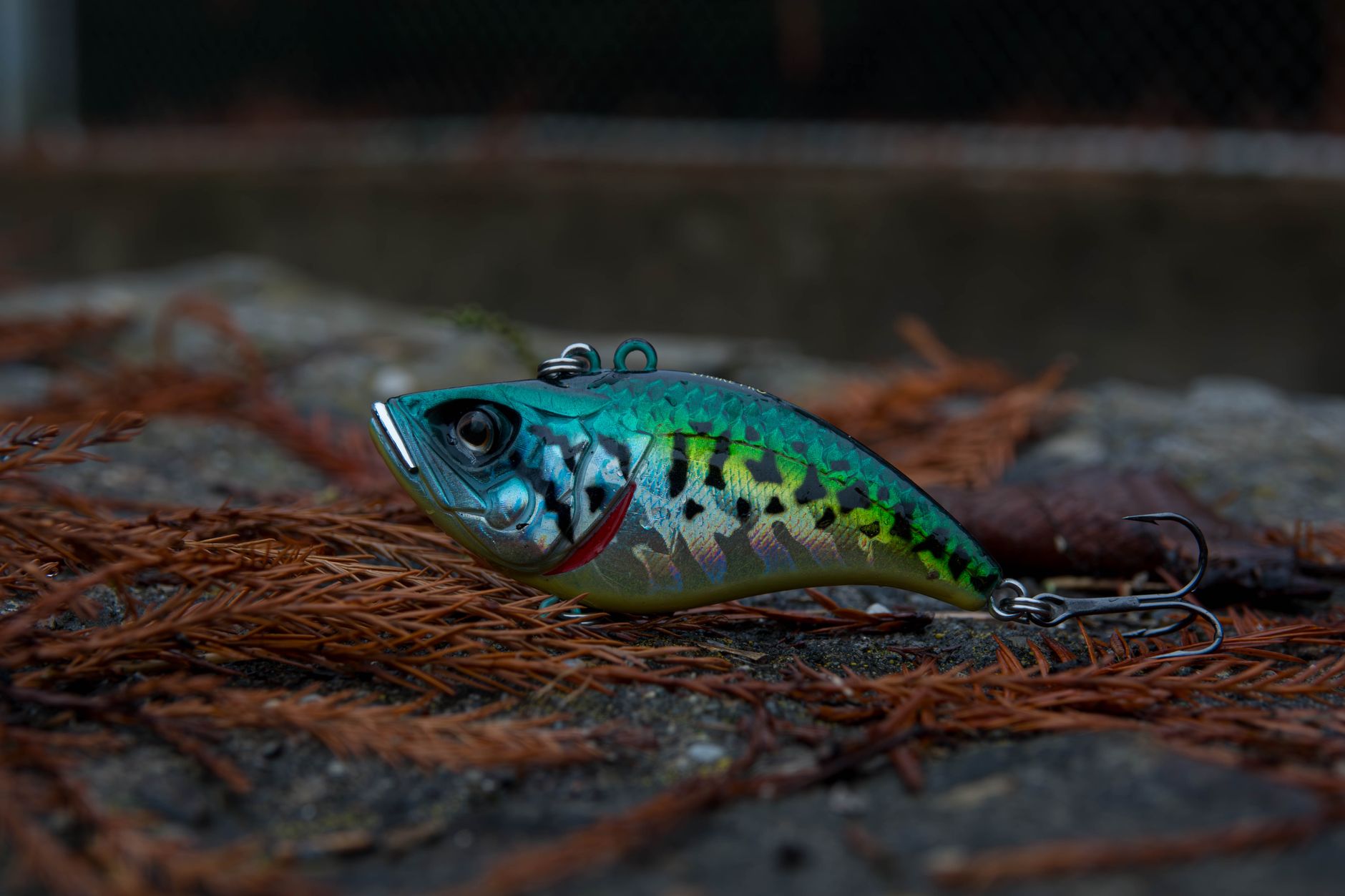 Vibrant fishing lure resembling a fish, placed on a rustic natural background.