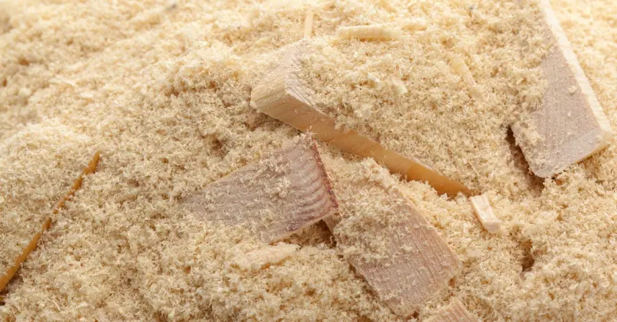 Nổ bụi - Mối đe dọa tiềm ẩn trong công nghiệp mà ít ai biết đến