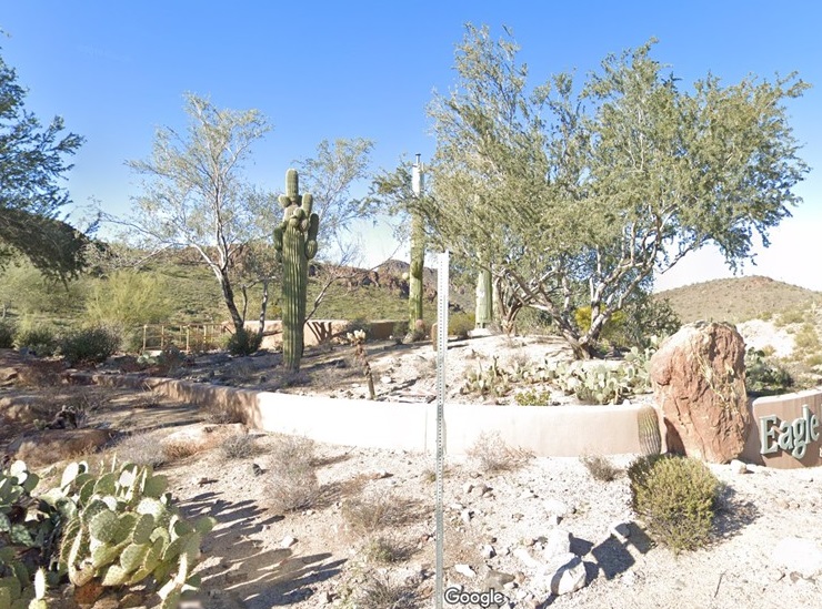 Cacti without spikes, but bolts... | Google Earth Community Forums