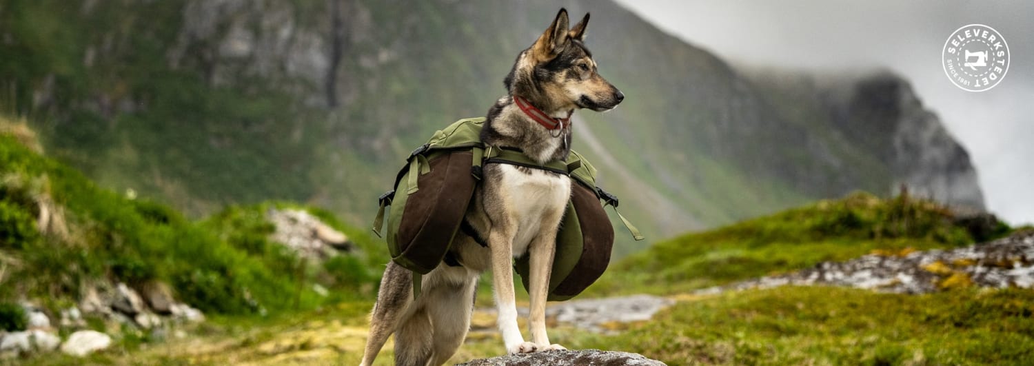 Backpack for dog Seleverkstedet