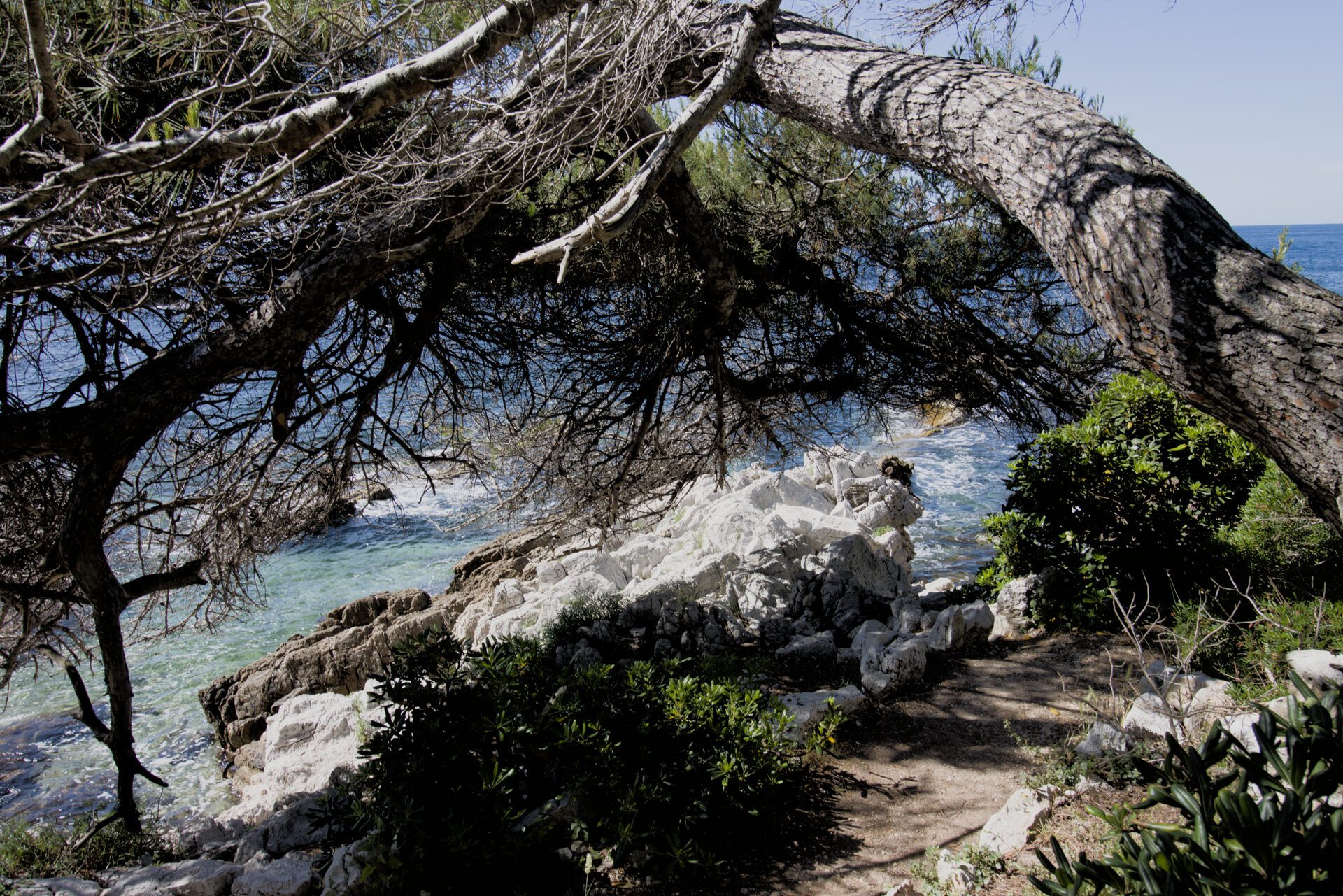 Calanque sur le Sentier du Littoral