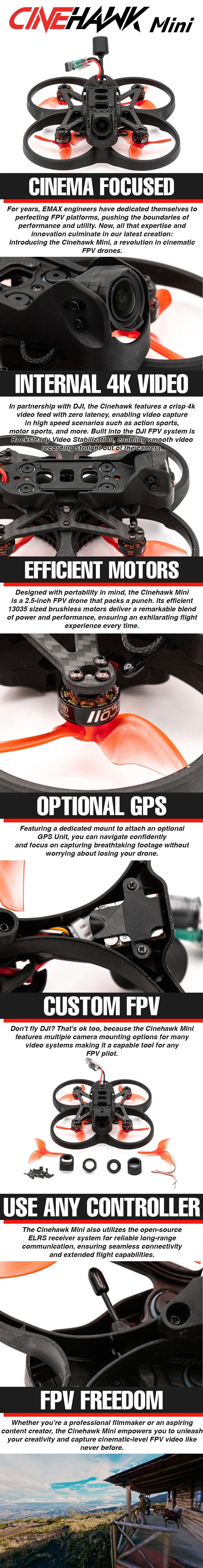 Infographic.webp