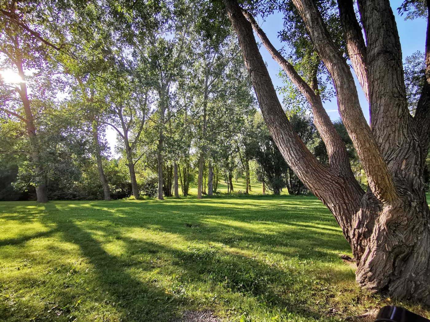 Confederation Park in Calgary