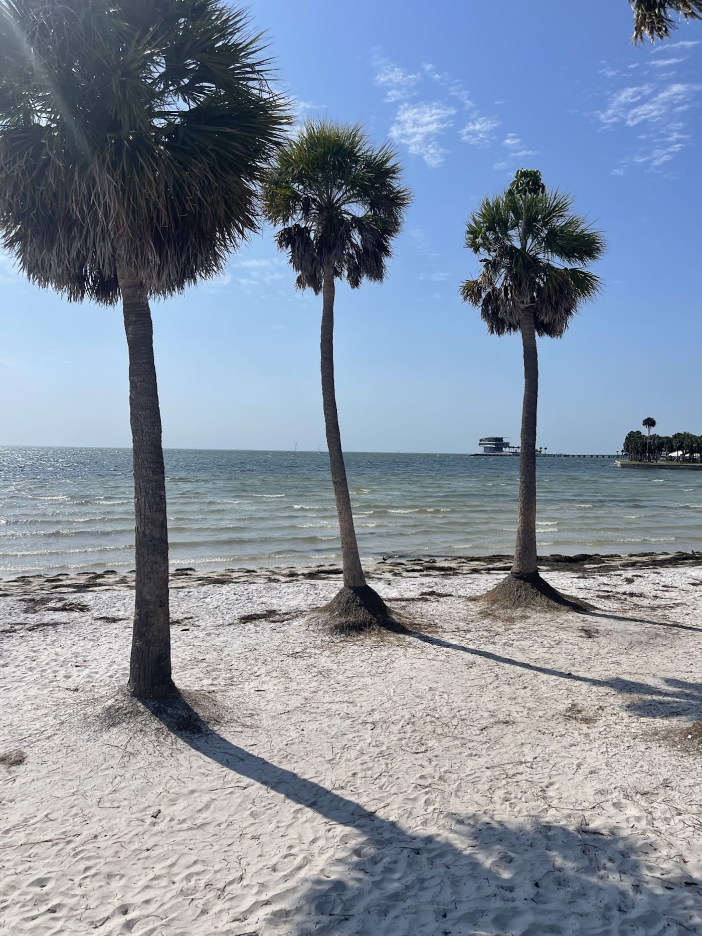 North Shore Park in St. Pete