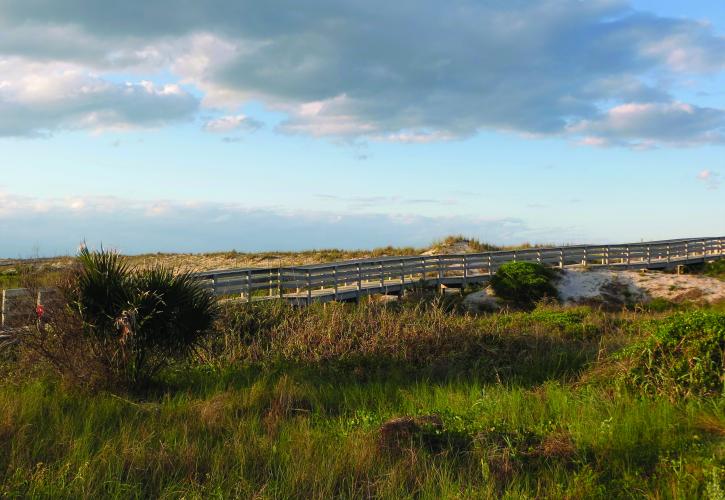 A boardwalk through dunes at Anastasia State Park