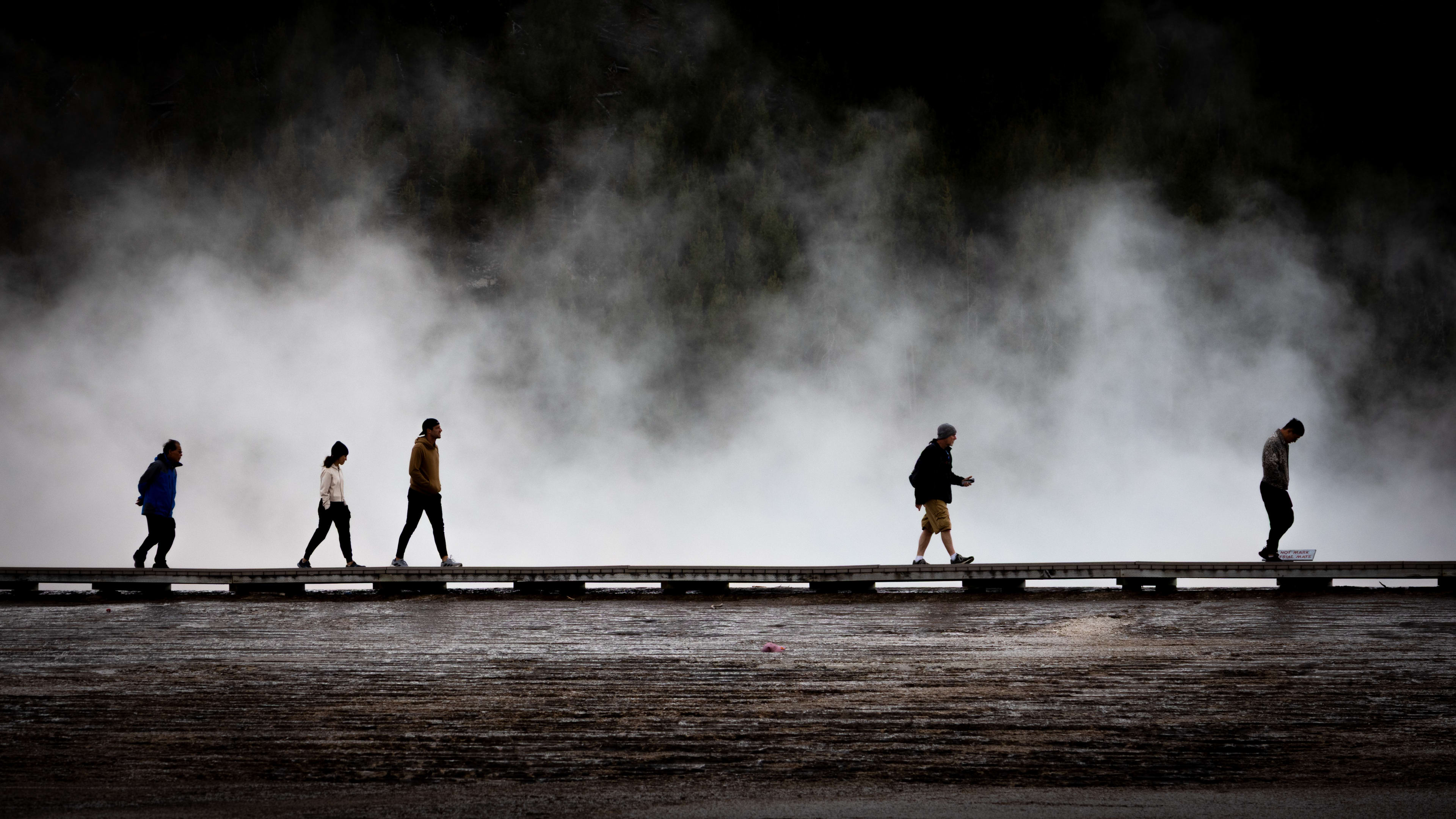 Walks of life, Yellowstone National Park, Wyoming