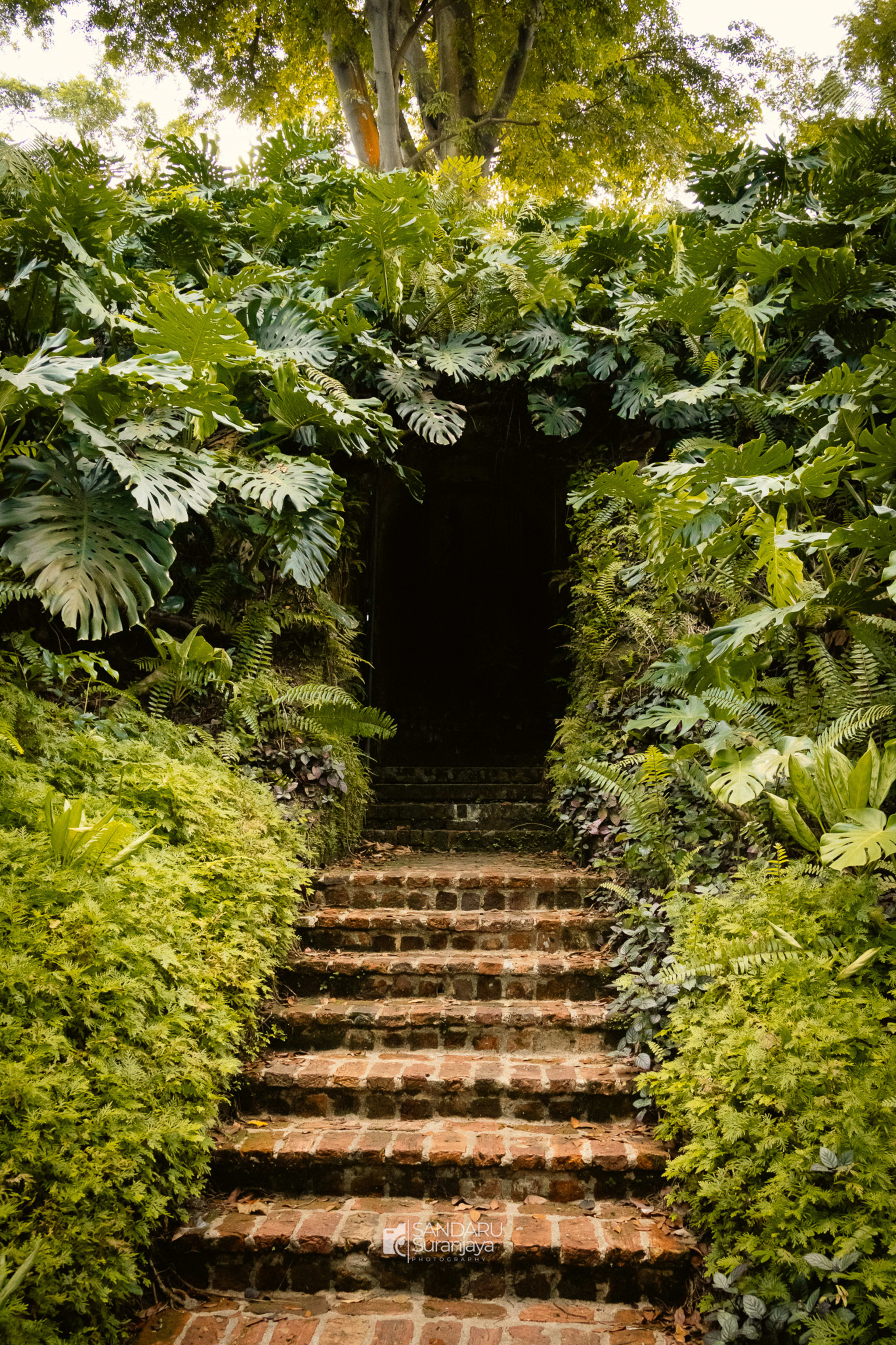 Into the abyss
Fort Canning Park, Singapore