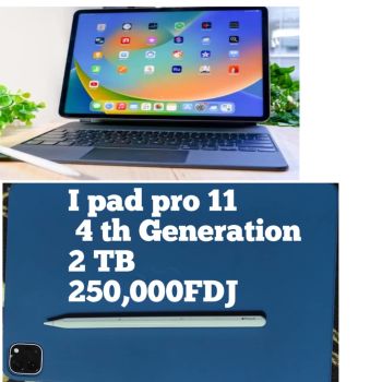 iPad Pro 11 4ème génération, neuf, 2 To de stockage