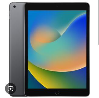 iPad 9 Generation 64 Go en Vente - Excellent État