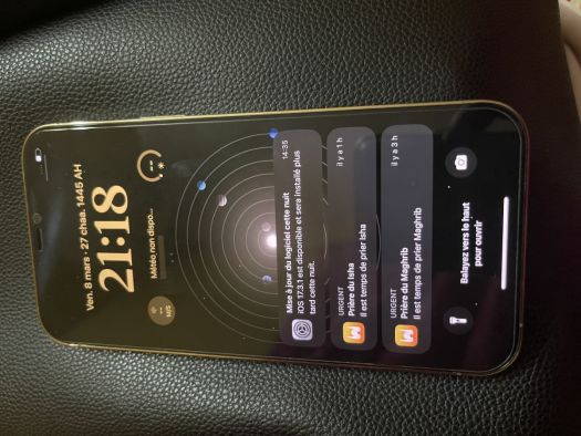 iPhone 12 Pro Max 128 Go en parfait état, prix négociable