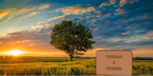 Terrain a vendre a citée wadajir 413 m2 ramplayer