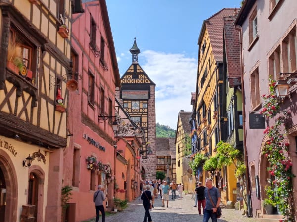 Weinberge bei Riquewihr