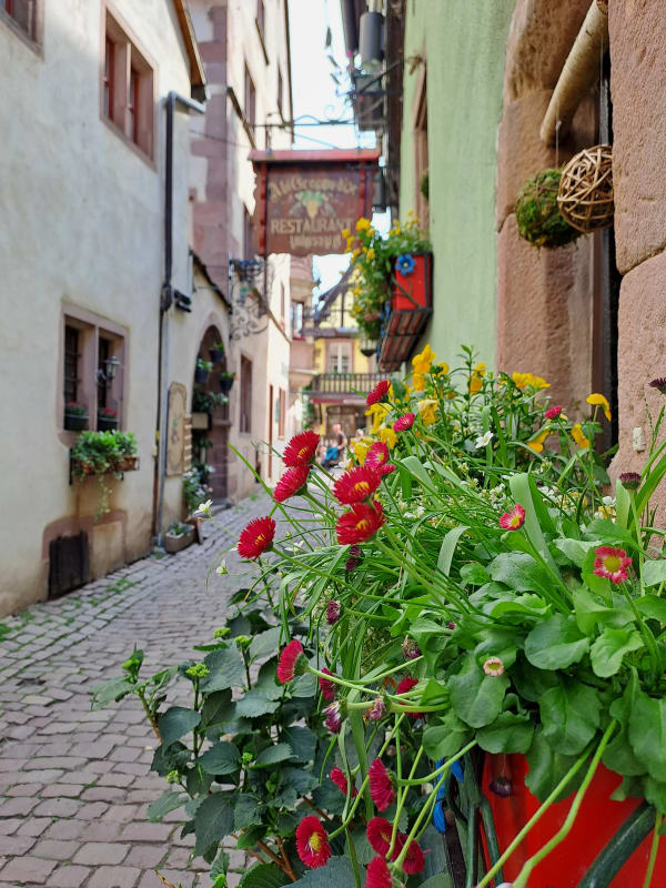 Blumenschmuck in Riquewihr