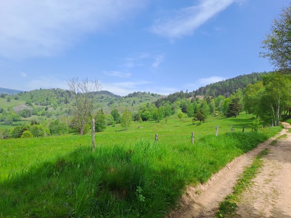 Wanderweg in den Hochvogesen