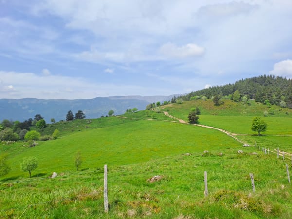 Offener Kammweg im Sommer