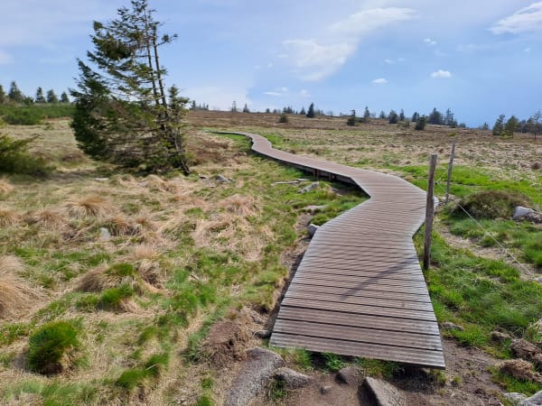 Wanderweg im Herbst