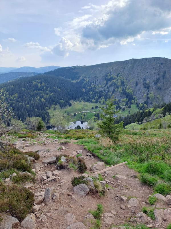 Wanderin auf Vogesenpfad