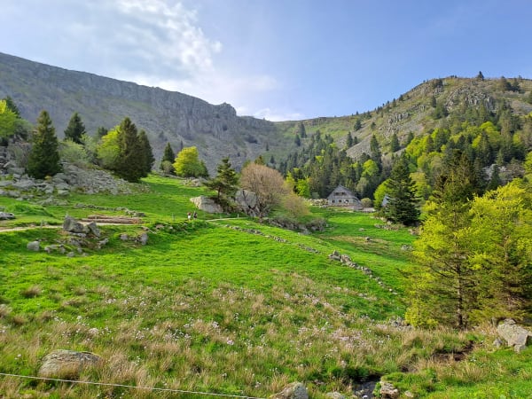 Vogesenlandschaft im Sommer