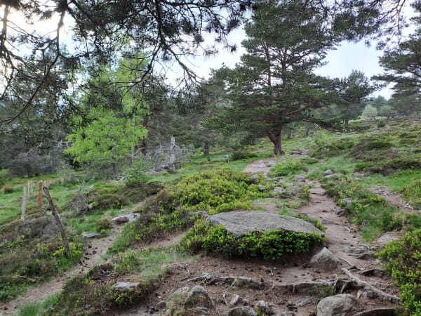 Bergpfad mit Ausblick