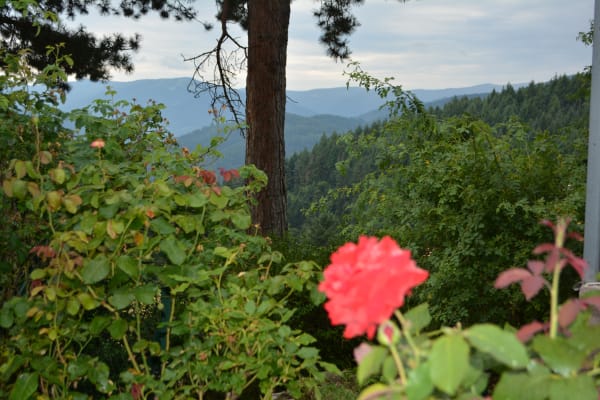 Panoramablick vom Garten nach Süden