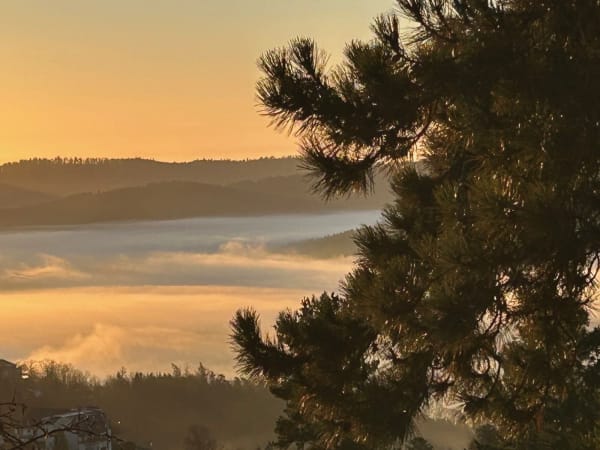 Frühmorgens Richtung Schwarzwald