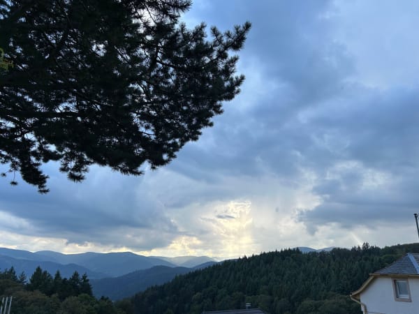 Munstertal in der Abendsonne