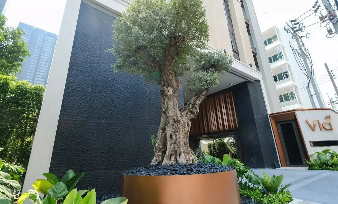 1 bedroom condo for rent in Ekkamai Bangkok - living room view