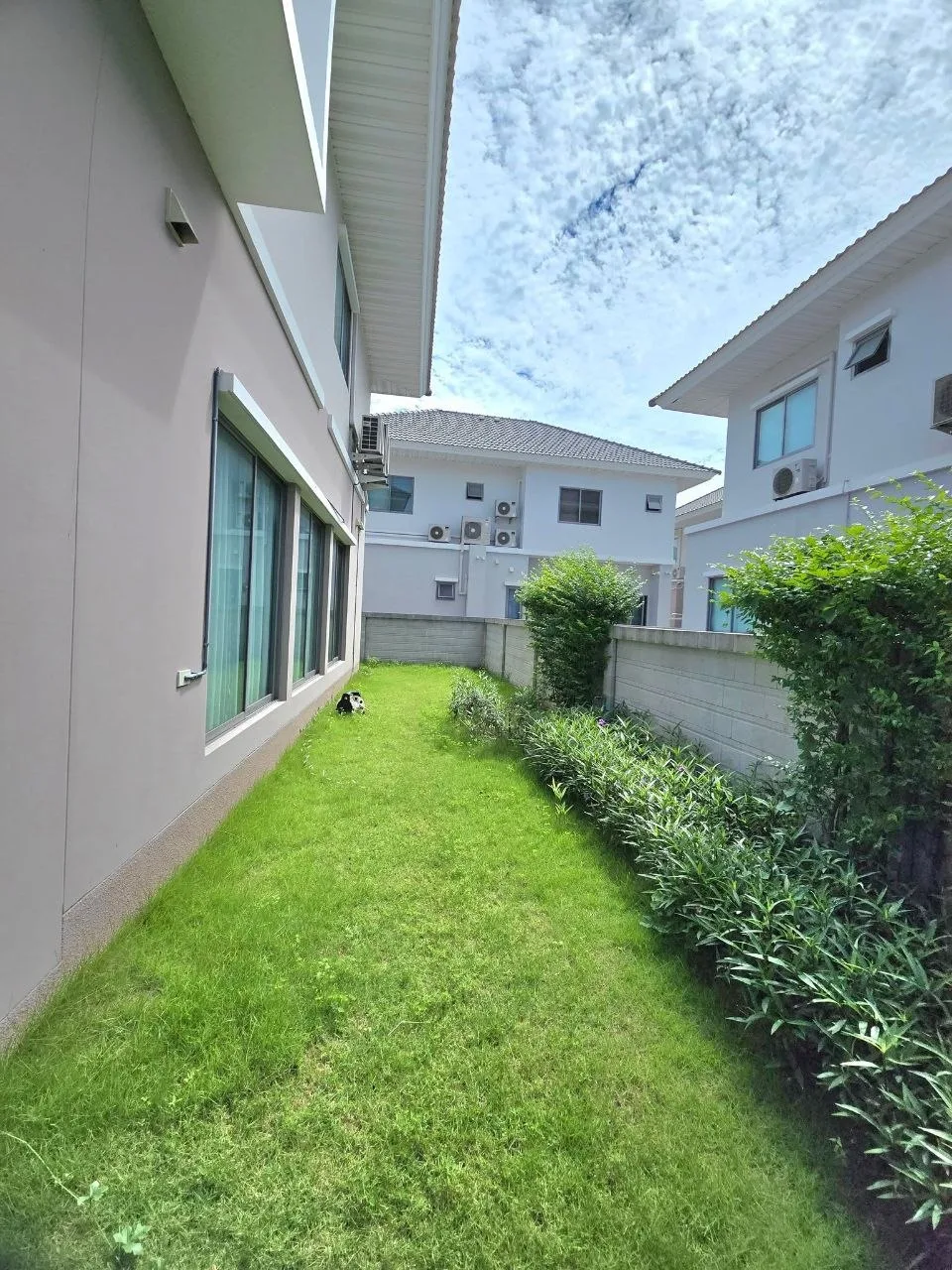 4 bedroom house for rent in Krungthep Kreetha Bangkok - kitchen and dining area