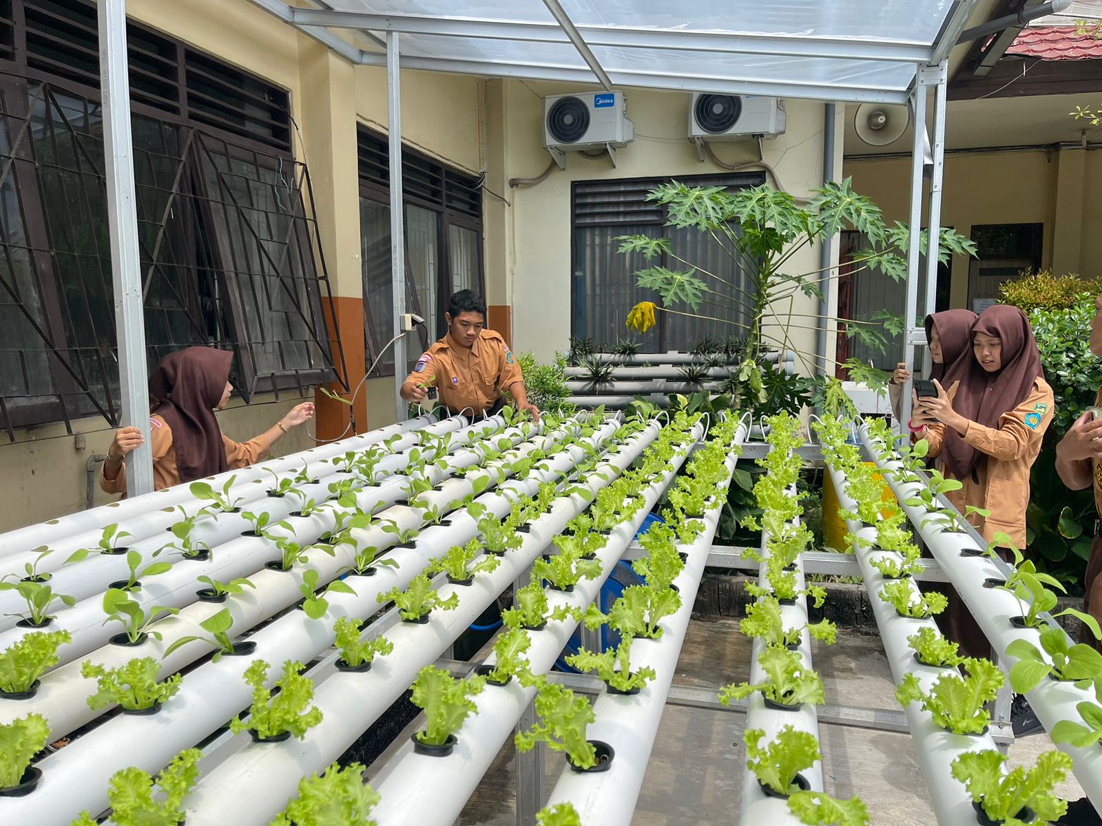 Kebun Hidroponik