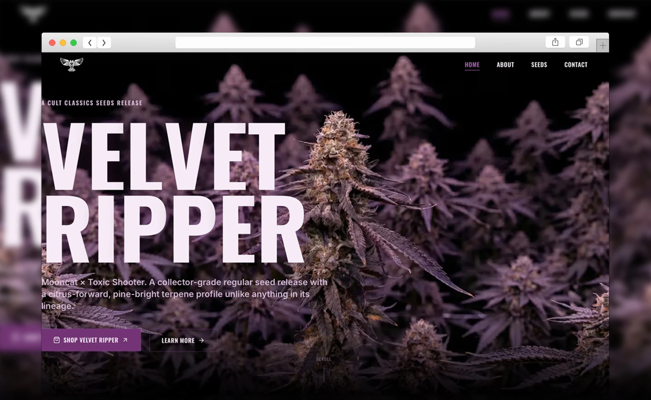 Velvet Ripper — view 1