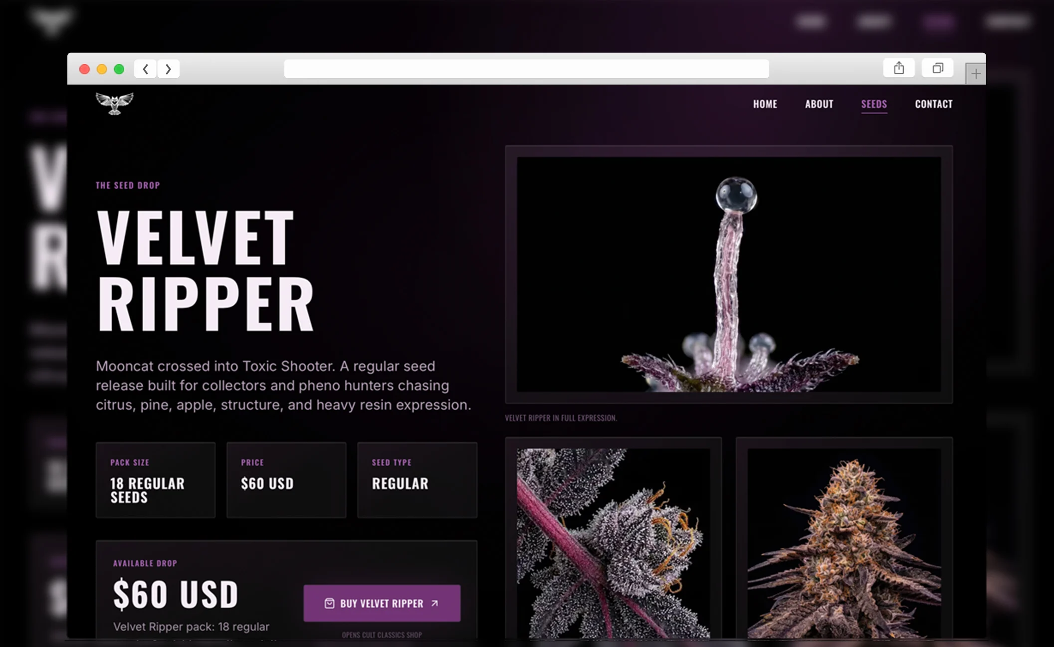 Velvet Ripper — view 2