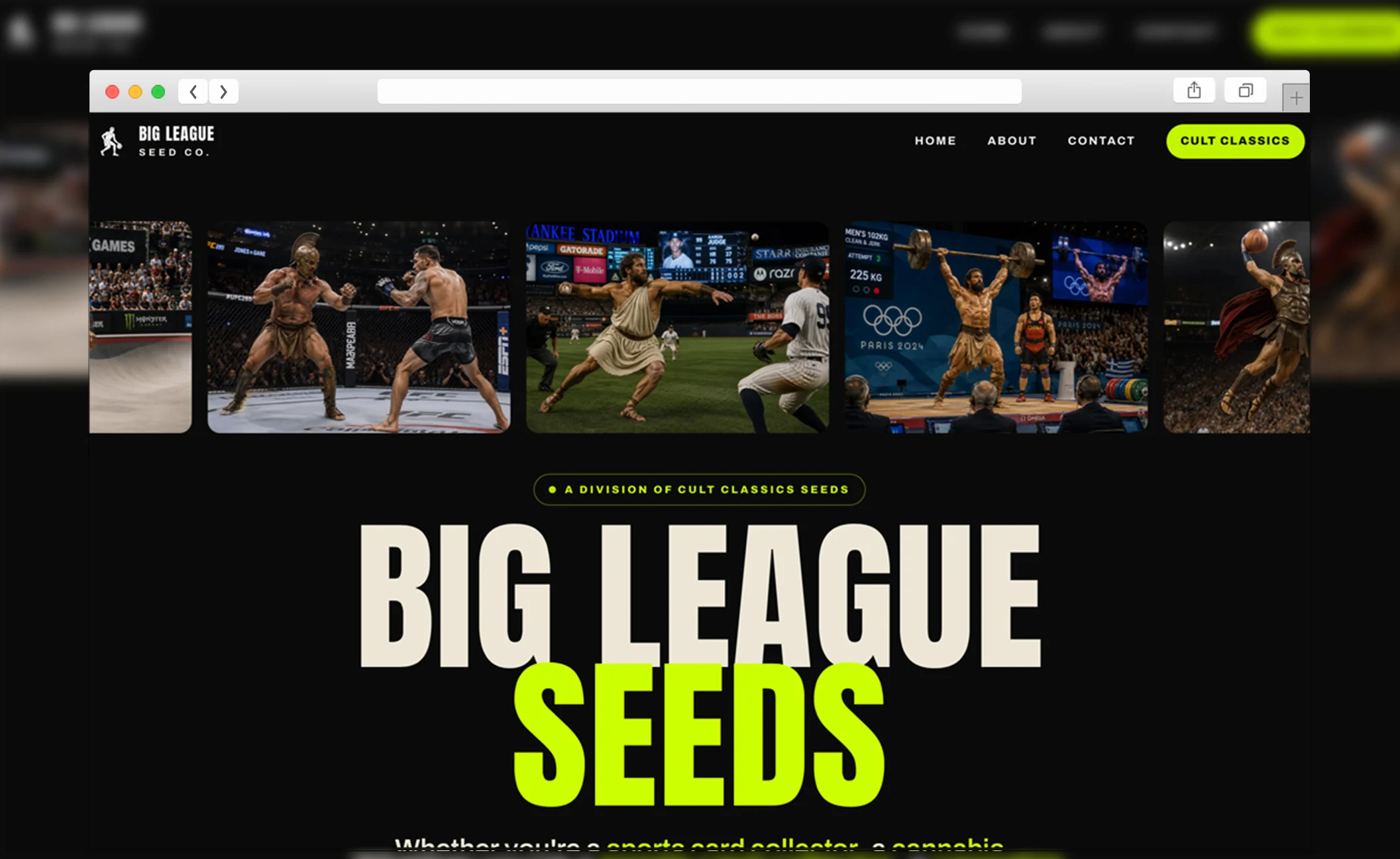 Big League Seeds — view 1