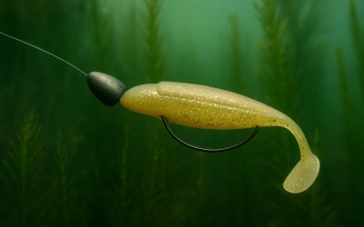 Montage Texan : Pêcher dans l'Impêchable