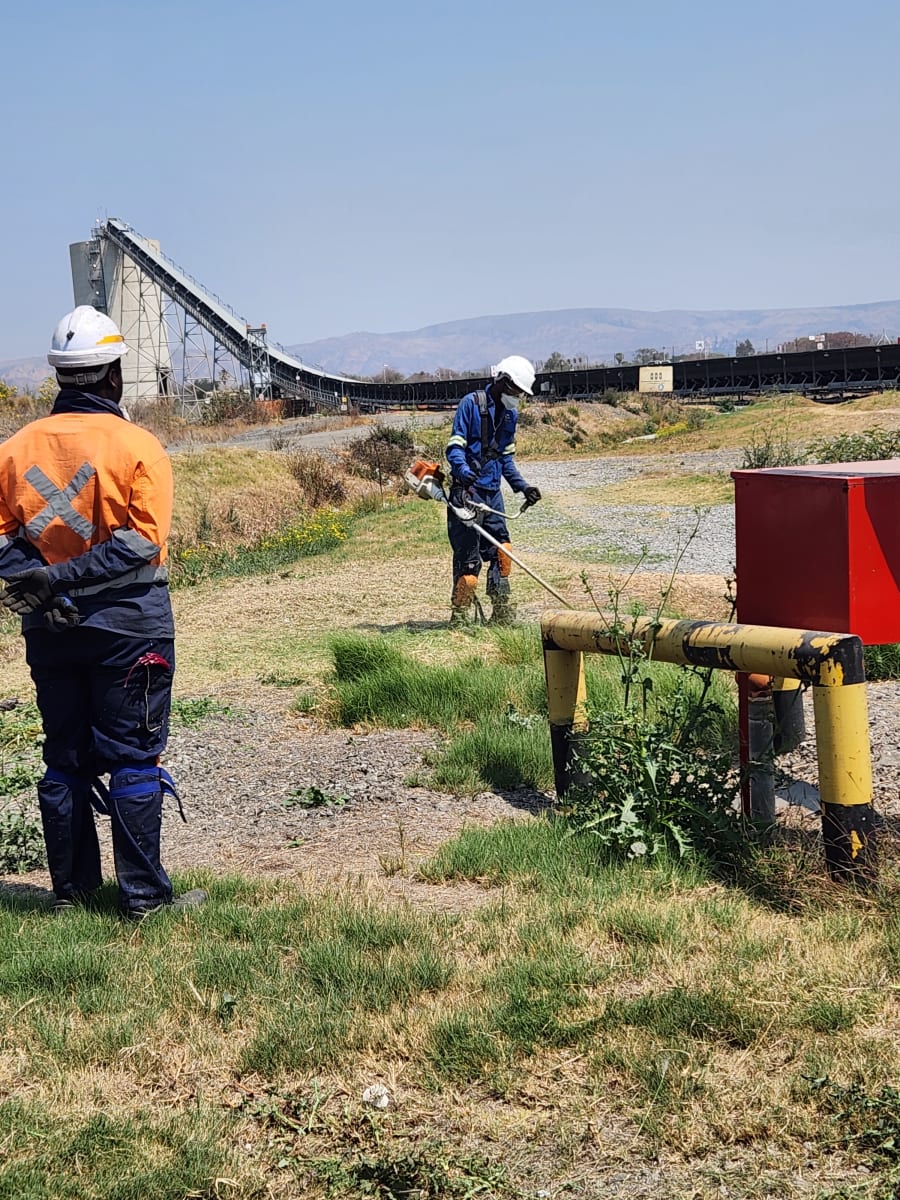 Mine shaft vegetation — Rustenburg mining operations