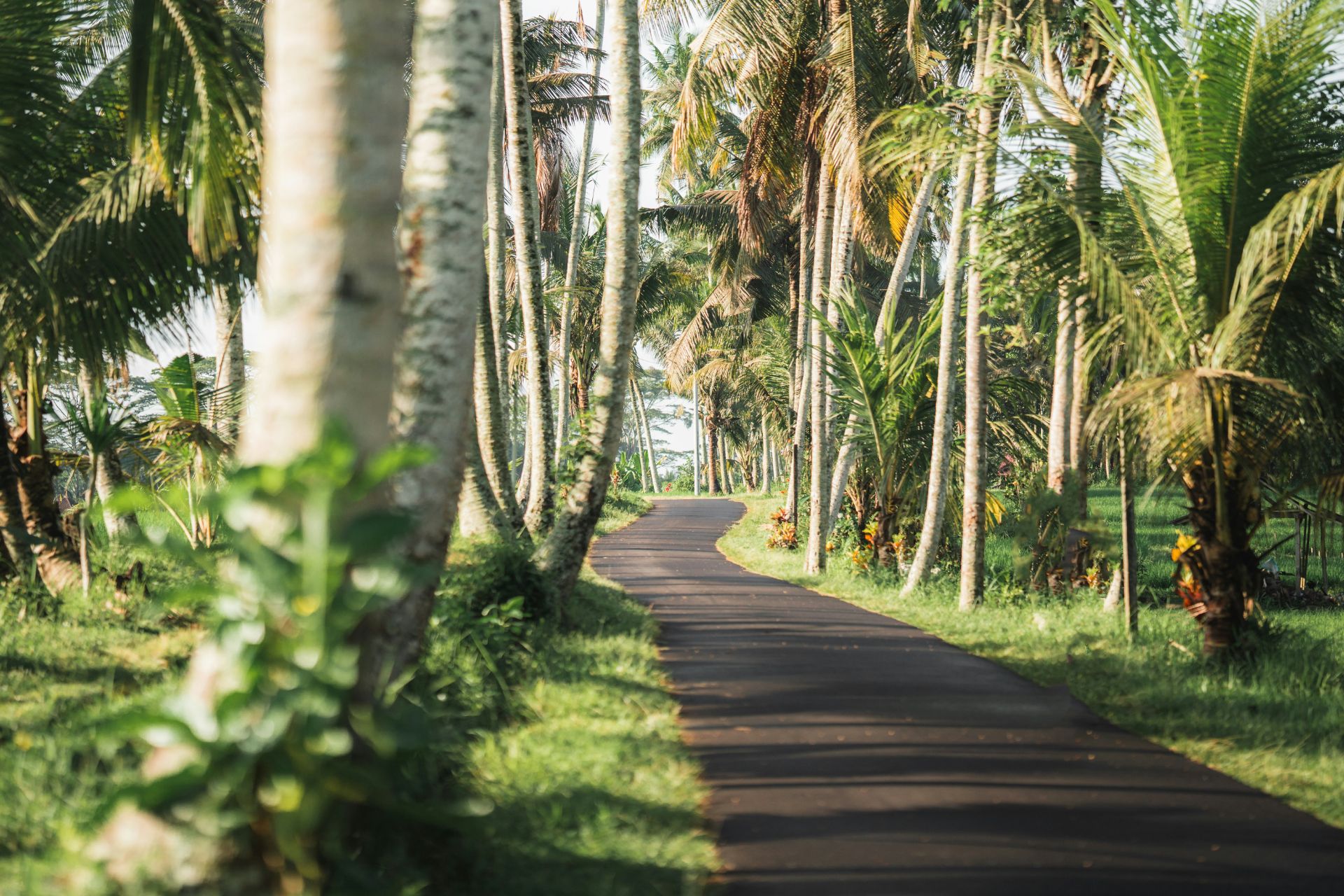 Exploring Bali's Different Areas: From Seminyak to Uluwatu