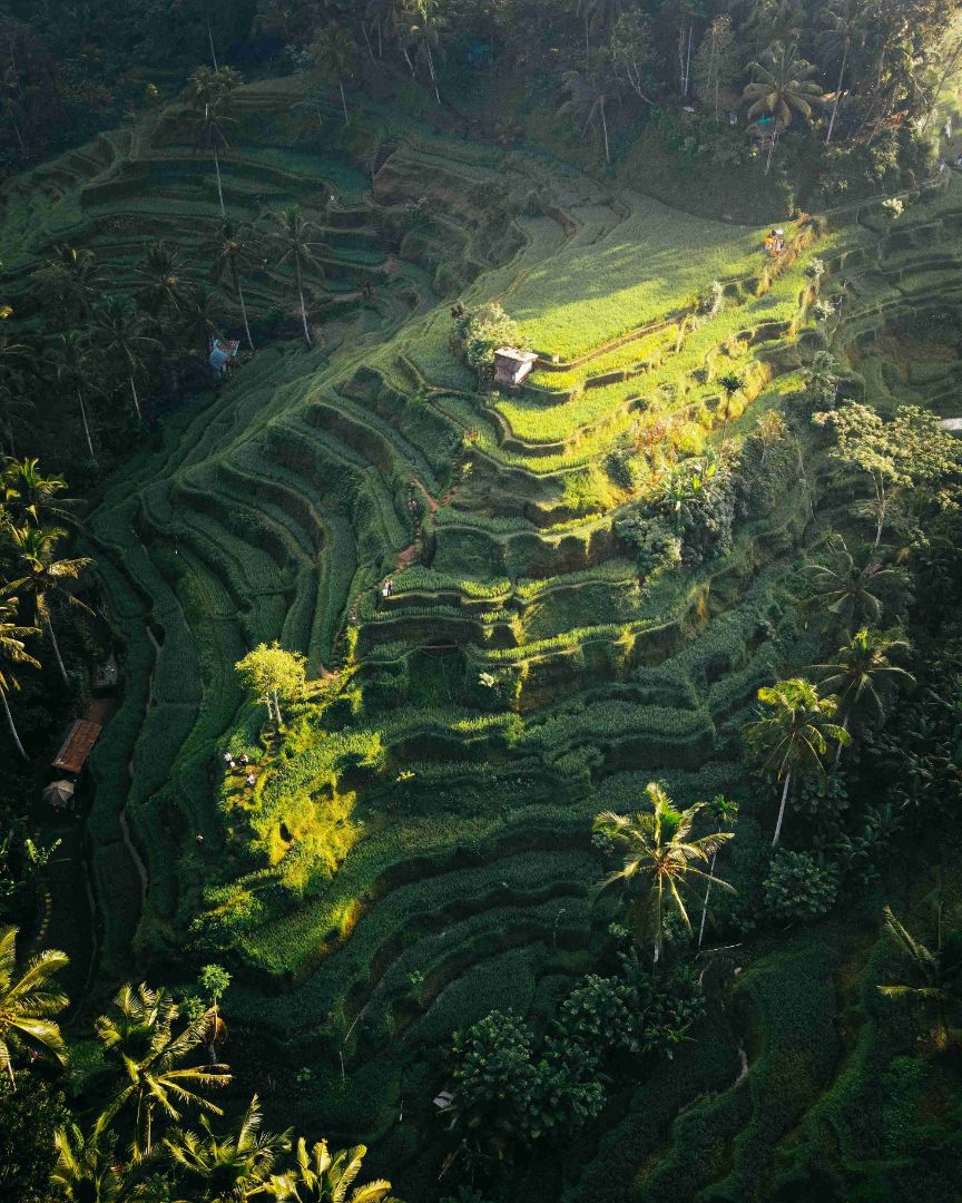 Ubud