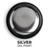 Металізована гель-фарба Mett Expert Chrome Silver 5 г