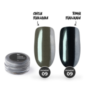 Дзеркальна пудра Mett Expert Хамелеон №009 Графітовий 1 г