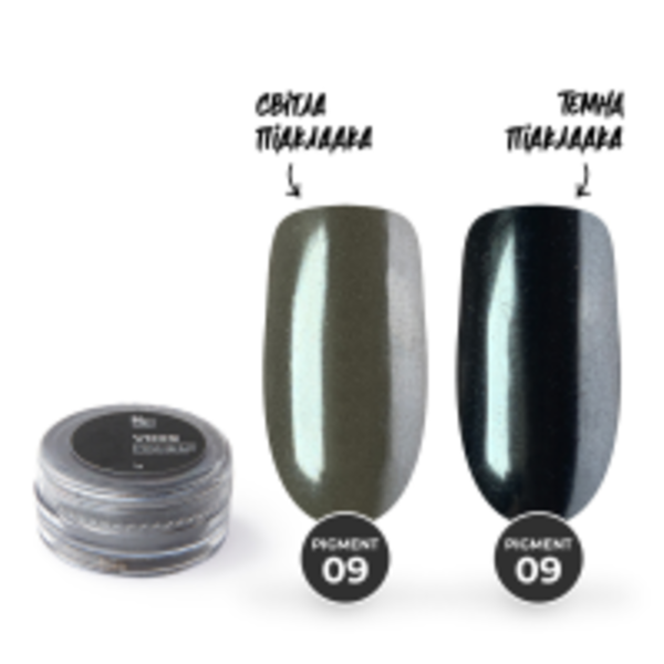 Дзеркальна пудра Mett Expert Хамелеон №009 Графітовий 1 г