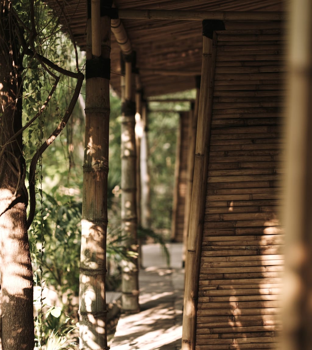 coming soon bamboo