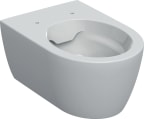 Seinä-WC Geberit Icon 501.661.00.1 