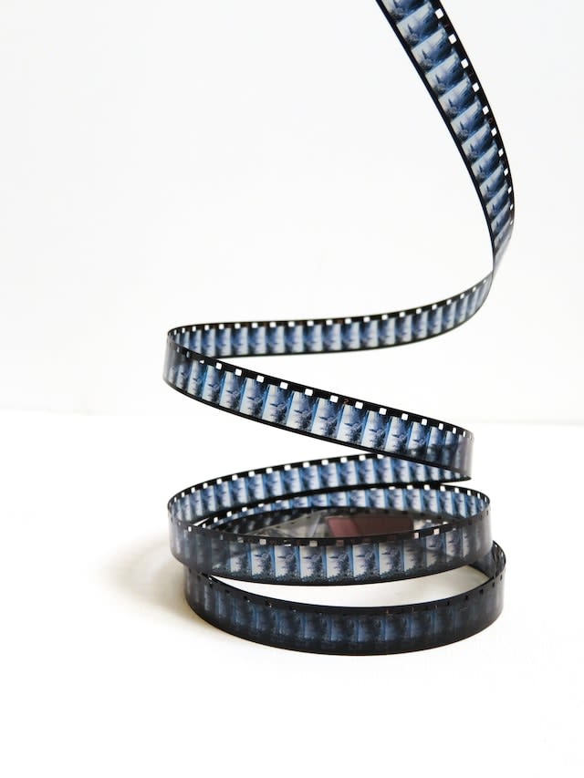 Curzon Dog Day Afternoons: dog-friendly Sunday screenings