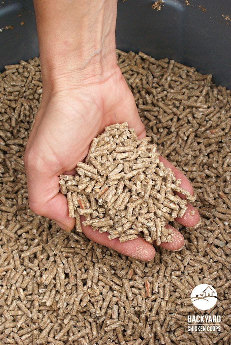 Animal Feed