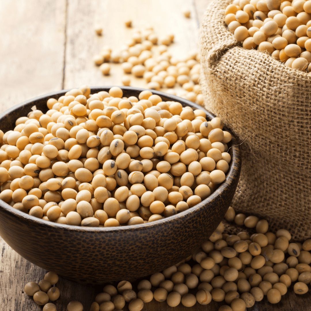 Soyabean