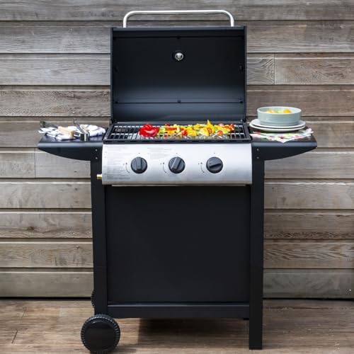 Vue 2 de Barbecue Gaz Hawai Bruleurs